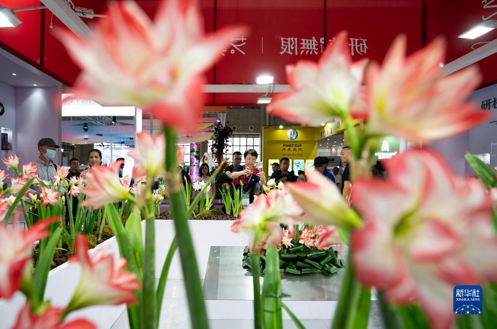 国际利发娱乐